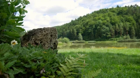 Green lake in the forest Stock Footage 79101725