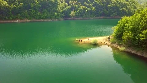 Green lake in the forest Video stock 111970959