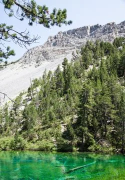 Green lake Stock Photos