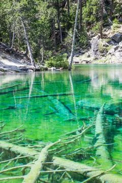 Green lake Foto stock