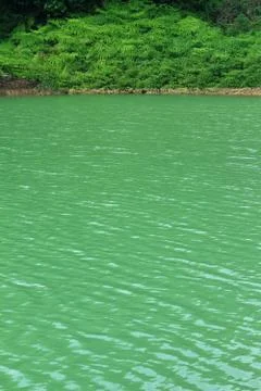 Green lake Stock Photos