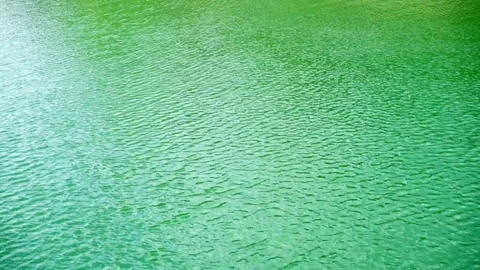 Green Lake with Soft Waves Stock Footage 77400672