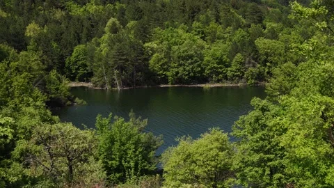 Green Lake View inside the forest Stock Footage 283855920