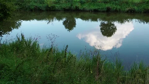 Green Lake Water Surface in Nature Stock Footage