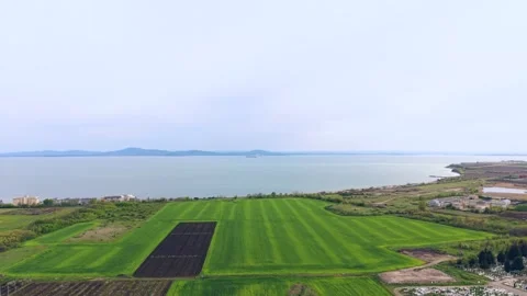 Green Land Nature Farming Field 库存影片 334819341