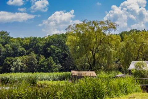 Green land Stock Photos