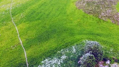Green land with road Stock Footage 110035900