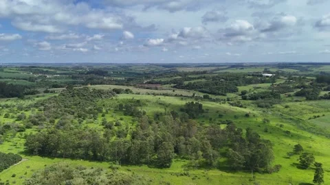 Green lands underneath by drone 4k Stock Footage 325351441