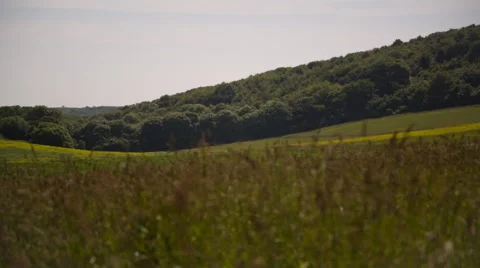 Green Landscape 1 Stock Footage 51436137