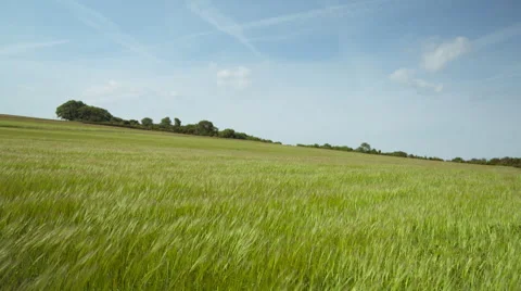 Green Landscape 2 Stock Footage 51436174