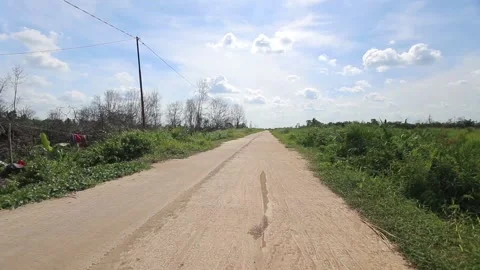 Green Landscape And Open Field Stock Footage 147659880