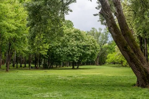 Green Landscape background 写真素材