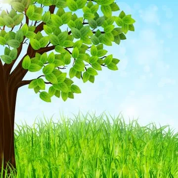 Green landscape background with tree and grass Stock Illustration