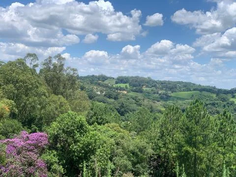 Green landscape with clouds Stock Photos