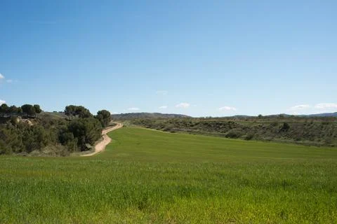 Green landscape with crop fields, trees and a dirt road. Los Cerros Park, Alc Stock Photos