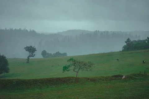 Green Landscape during monsoon Stock Photos