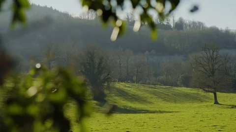 Green landscape field 4k Video stock 71354582