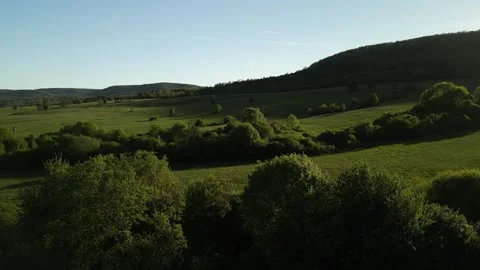 Green Landscape with Fields and Distant Hills Video stock 307932031