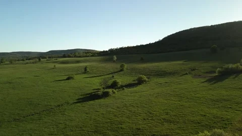 Green Landscape with Fields and Distant Hills Stock Footage 307932254