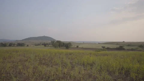 Green landscape Stock Footage 204779254