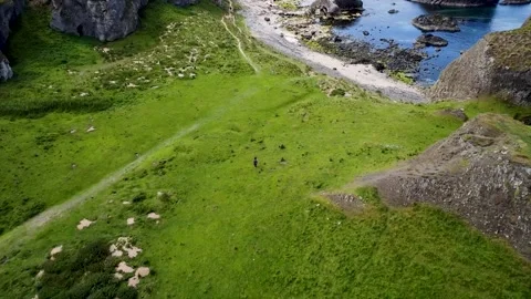 Green landscape Stock Footage 211803461