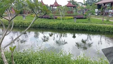 Green landscape Stock Footage 275054005