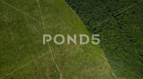 Green landscape with forest and meadowv - top down aerial view Stock Photos