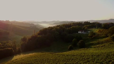 Green landscape hidden in the Mist Stock Footage 249871377