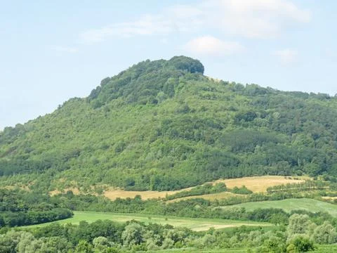 Green landscape with a hill and trees in Romania during summer 写真素材