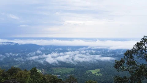 Green landscape with mist, in a rain forest in India. Vídeo Stock 118435877