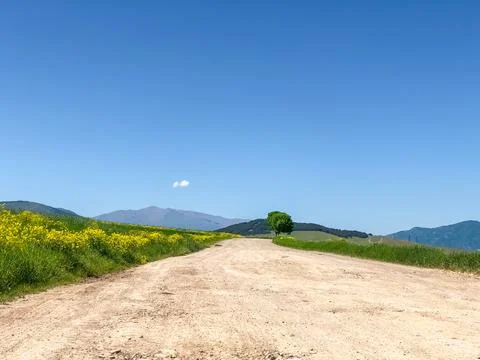 Green landscape in the mountains 库存照片