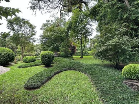 Green landscape in the park Stock Photos