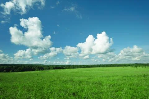 Green landscape Stock Photos