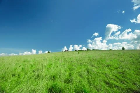 Green landscape Stock Photos