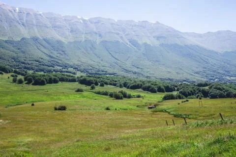 Green Landscape Фото