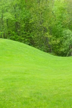 Green landscape Stock Photos
