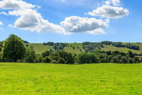 Green Landscape Stock Photos