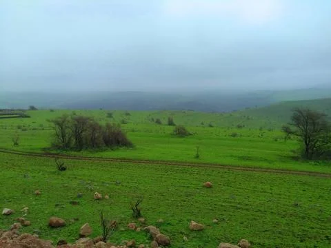 Green landscape Stock Photos