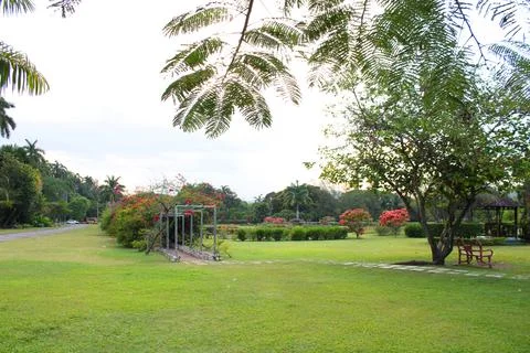 Green landscape Stock Photos
