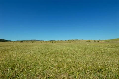 Green landscape Stock Photos