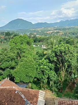 Green Landscape Stock Photos