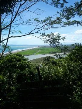Green landscape 库存照片