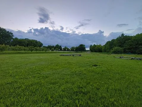 Green landscape Foto stock