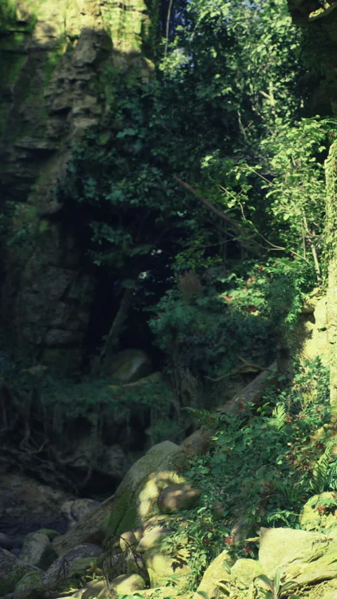 Green landscape with rocks and trees seen during daytime in a forest Stock Footage 331677378