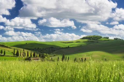 Green landscape on a sunny spring day Stock Photos