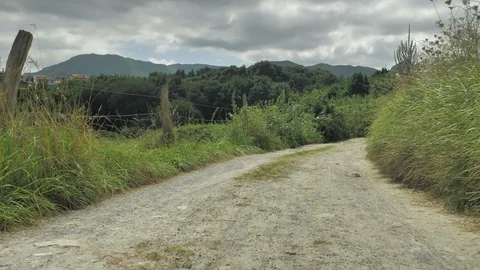 Green landscape view of Nothern Spain countryside, hills covered with grass at Stock Footage 93653953