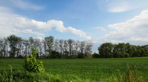 Green landscape,time lapse 動画素材 794418