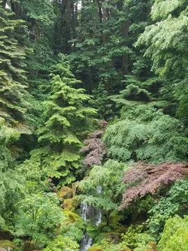 Green Lanscape Stock Photos