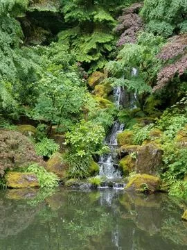 Green Lanscape Stock Photos