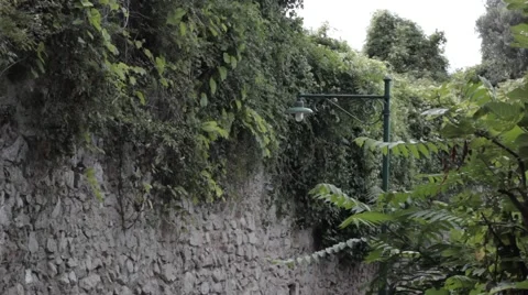 Green lantern Stock Footage 41201474